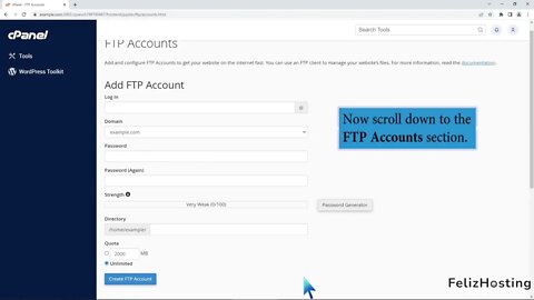 How to change the FTP User Quota in cPanel FelizHosting