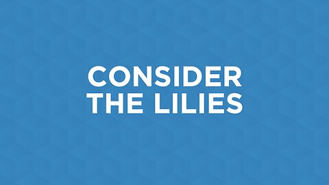 04-07-24 - Consider The Lilies - Joel McIntyre