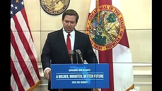 Governor DeSantis' first year in office