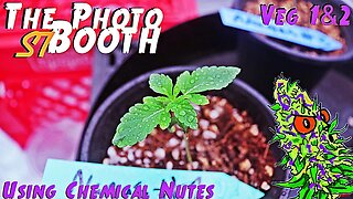 The Photo Booth S7 Ep. 2 | Veg Weeks 1 & 2 | Using Chemical Nutrients | AirCube System Grow