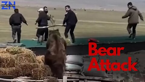 Shocking Video : Bear Attacks Police on the Roof of a Chinese Village Barn