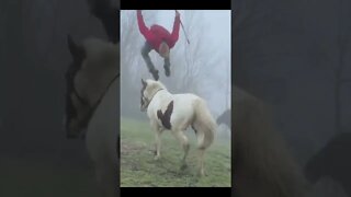 Backflip from Horse back