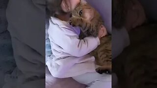 CAT VIDEO