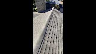 My roof