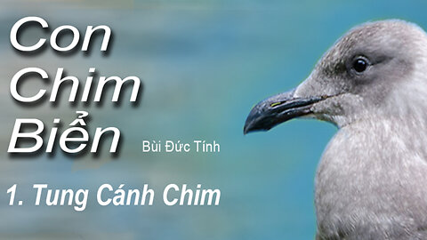 #016 | Con Chim Biển (Phần 1) | Tung Cánh Chim