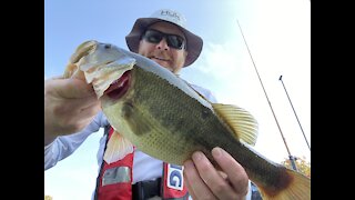 Bass Fishing with the Buzz Bait & Tokyo Rig