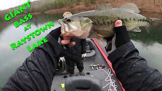 Fishing Raystown Lake in Mid-November Catching Monster Bass