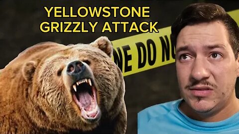 Grizzly Bear Kills Hiker in Yellowstone