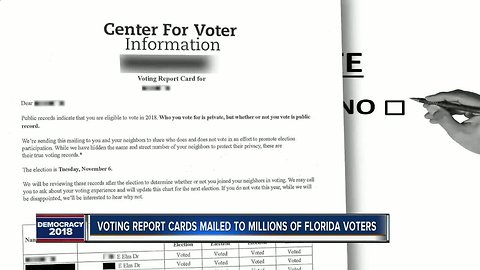 Tampa Bay voters stunned by 'voting report cards' in mail