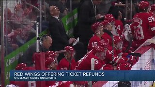 Red Wings offering ticket refunds for missed games