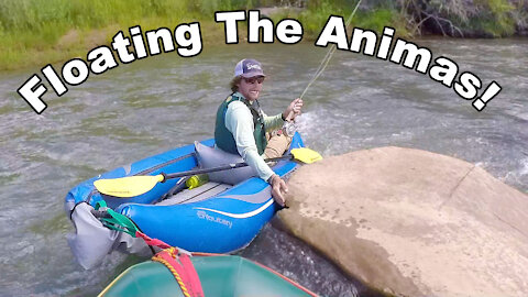 Floating the Animas - With Fresh Salt Fishing - McFly Angler Episode 30
