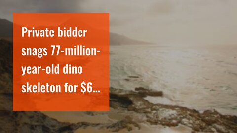 Private bidder snags 77-million-year-old dino skeleton for $6 million