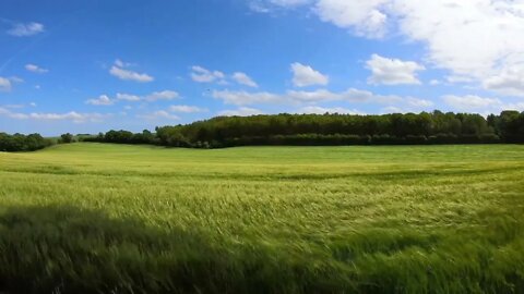 Wind in The Grass Open Field Next To Hills Relaxing Sound Of Wind With Ambient Sounds For Calming