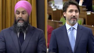 Jagmeet Singh Says Trudeau Sided With Big Pharma & Has 'No Plan' For COVID-19 Vaccines