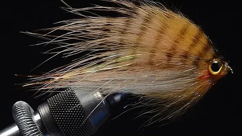 Dirty Hippy Streamer Fly Tying - Tied by Charlie Craven