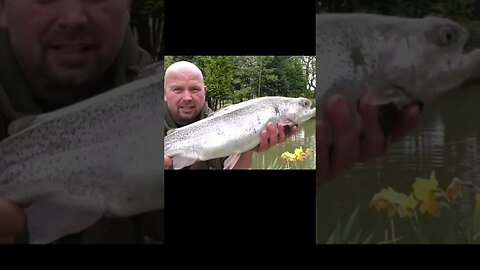 Monster Rainbow Trout