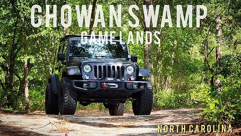 Chowan Swamp Game Lands - Gates County North Carolina - Offroad Trail - Jeep JK Rubicon Recon
