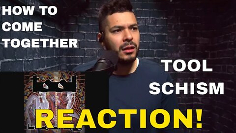 TOOL Schism Reaction