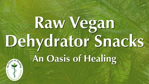 Raw Vegan Dehydrator Snacks