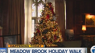 Meadow Brook Holiday Walk