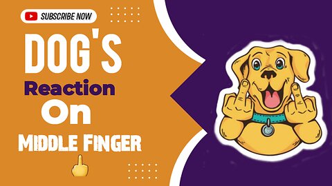 "Urgent Warning: Why Dogs are Afraid of the Middle Finger"