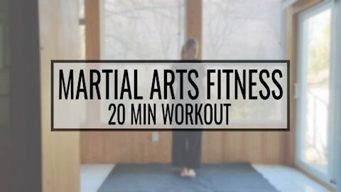 Martial Arts Fitness Training (20+min)