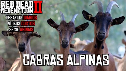Cabra Alpina Red Dead Redemption 2