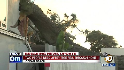 Two people dead after tree falls through home
