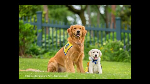 Volunteering and Giving to Canine Companions The Matthews Family Mary Clare Matthews