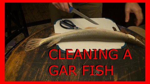 BSH - How To Clean Gar Fish