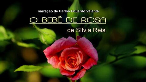 AUDIOBOOK - O BEBÊ DE ROSA - de Sílvia Reis