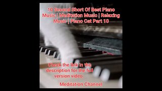 10 Second Short Of Best Meditation Music | Piano Music | Relaxing Music | Piano Cat Part 10 #shorts