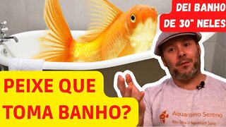 🔴 Banho Terapêutico / Medicamentoso nos Peixes - Tratamento Contra Parasitas, Bactérias e Fungos