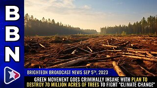 GREEN goes CRIMINALLY INSANE with plan to destroy 70 million acres of TREES to fight climate change