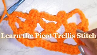 How to Crochet the Picot Trellis Stitch [ Beginner Friendly ]