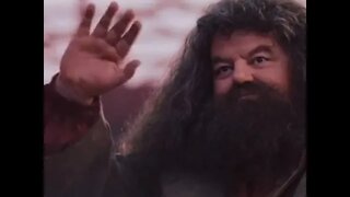 “There's no Hogwarts without you hagrid” #hagrid #hagridedit #robbiecoltrane #riphagrid #fyp❤️❤️❤️🥹