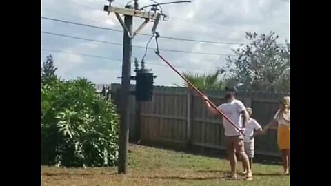 Family reveals gender of baby using electricity utility pole