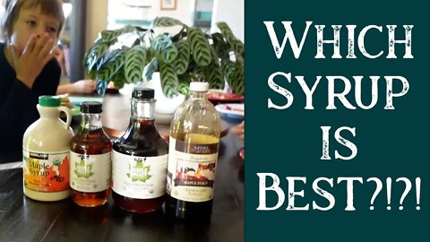 Maple Syrup Review | Costco vs. Azure vs. Maple Valley Amber vs. Maple Valley Robust