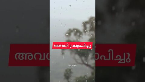ഇന്ന് അവധി | കനത്ത മഴയിൽ അവധി | Heavy rains | No class today| Kerala