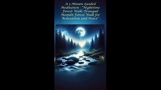 A 5-Minute Guided Meditation - Nighttime Forest Walk: Tranquil Forest Walk for Relaxation and Peace