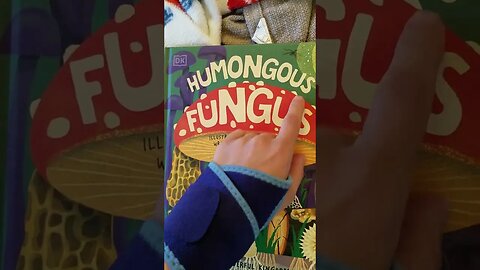 Humongous Fungus ASMR