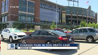 Charges filed for dog death case