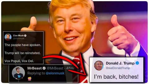 Elon Musk Reinstates Donald Trump's Twitter Account After Tweeting Twitter Poll Results