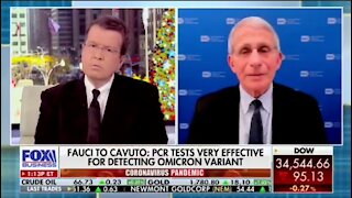 Fauci Stumped On What To Do About Illegals Testing Positive For COVID