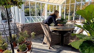 Planting a Peaceful Centerpiece for the Hartley, Transplanting a Rose & Houseplant Fertilizing! 💚🌿💚