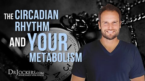 The Circadian Rhythm & Your Metabolism