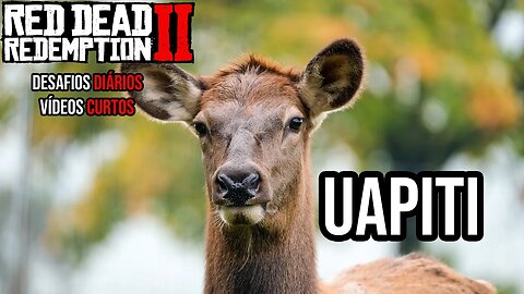 Localização do Uapiti Red Dead Redemption 2