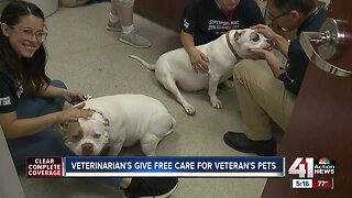 Veterinarians give free car for veterans' pets