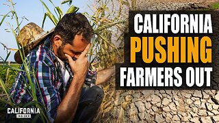 How California Farmers Are Taking Action to Capture Rainwater | Sohan Samran