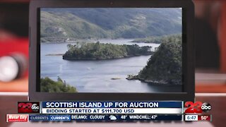 Scottish island up for auction